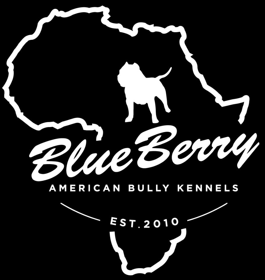 BlueBerry American Bully Kennels
